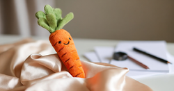 Will your Jellycat Amuseables Carrot Cake order actually make it to France or just get cancelled?