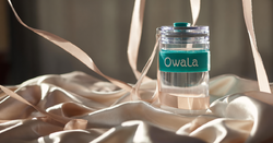 Owala FreeSip vs Stanley Tumbler: Why Taiwan shoppers prefer importing US exclusives