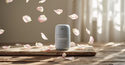 German shoppers are losing money on Hatch Restore 2 local markups