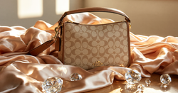 It is actually possible to get the Coach Brooklyn Shoulder Bag 39 from the US to the Philippines without any paperwork