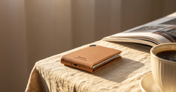 Securing the Rhode Lip Case for Singapore delivery by bypassing US store restrictions