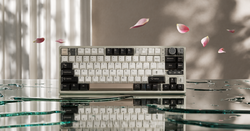 Does sourcing the Keychron Q1 HE from North American distributors provide a strategic advantage for Philippine e-sports professionals?