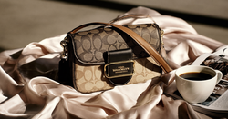 Snagging the Coach Brooklyn Shoulder Bag 39 from US shops without the usual international shipping headaches