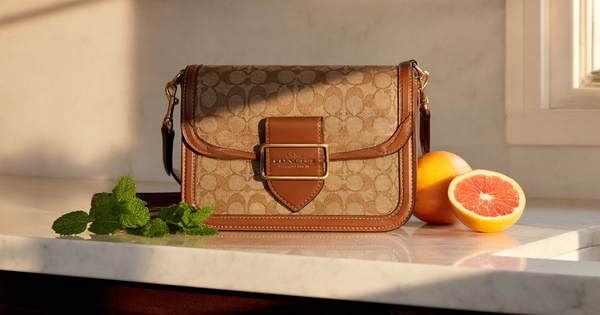 Coach Brooklyn Shoulder Bag 39