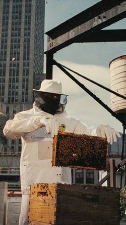 Why you can save $240 on the Nike x Wu-Tang Clan Dunk High by ignoring local resellers and shipping from the US instead