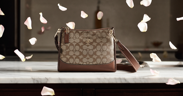 Coach Brooklyn Shoulder Bag 39