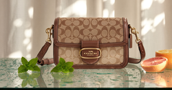 My professional strategy for acquiring the Coach Brooklyn 39 from US distributors