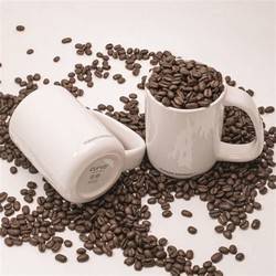 Expediting CURVD Ergonomic Mug imports from the US to Singapore for maximum comfort