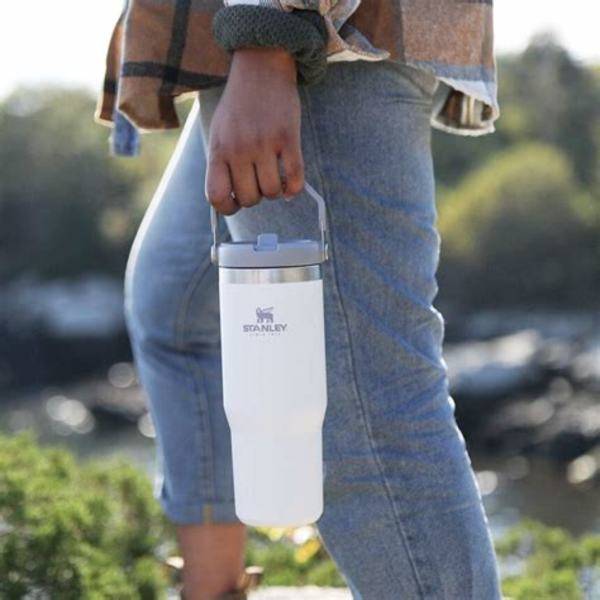 Stanley x LoveShackFancy Quencher H2.0 FlowState Tumbler