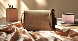 I established a logistical protocol to get the Coach Brooklyn Shoulder Bag 39 from the US to Singapore in record time