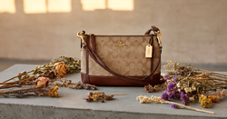 Is the Coach Brooklyn Shoulder Bag 39 price gap in Malaysia really that massive?