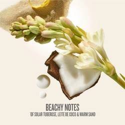 Sol de Janeiro Rio Radiance SPF 50 Body Oil vs Italian Boutique Pricing: The Direct Import Blueprint