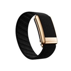 Is securing a WHOOP 5.0 Onyx from US retailers the most efficient strategy for Swiss athletes in 2026?