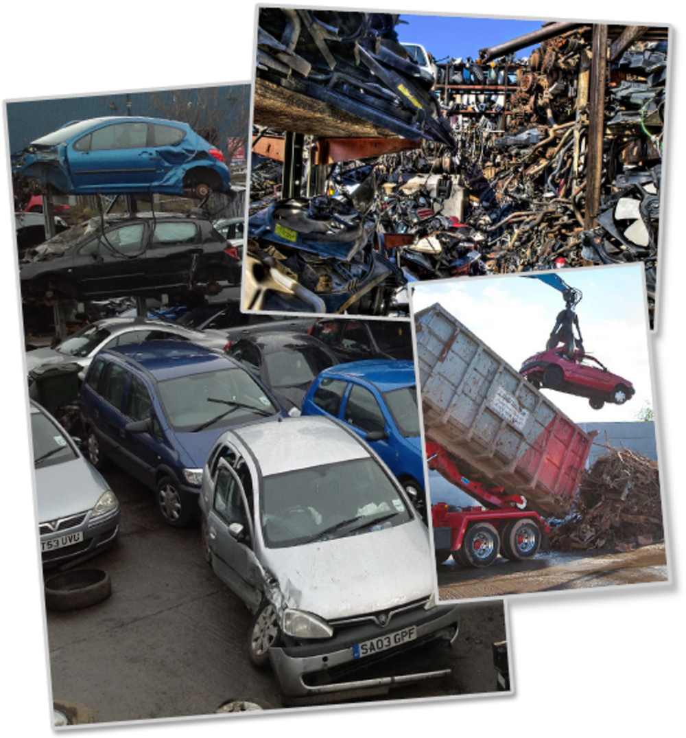 Domestic Waiting vs International Shipping: Fastest Way to Get the Caraway Trash Collection to Australia