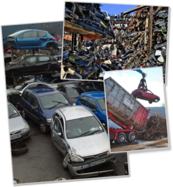 Domestic Waiting vs International Shipping: Fastest Way to Get the Caraway Trash Collection to Australia