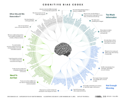 US-Patented Momentous Cognitive Stack vs NZ Market Alternatives: Is the 2026 potency worth the shipping effort?