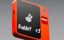 Save $120 on the Rabbit R2 even if US stores treat your Kiwi credit card like a carrot they don't want