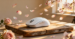 The architectural plan for importing the Logitech G Pro X 3 Superlight to New Zealand